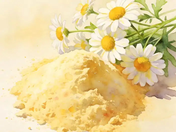 How Chamomile Extract Is Used in Calm Formulas?